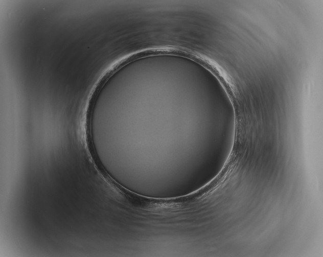 X0000103251327200809111607