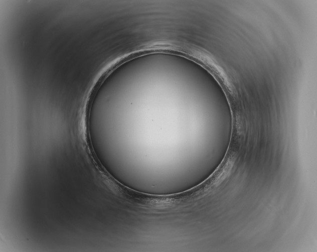 X0000103251328200809111607