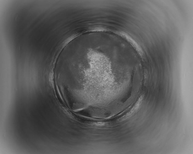 X0000103251329200809111607