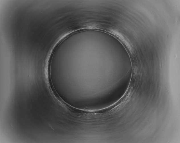 X0000103251331200809111607