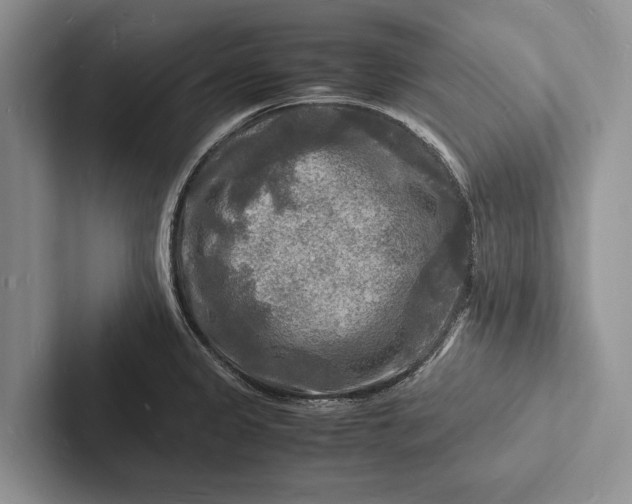 X0000103251333200809111607
