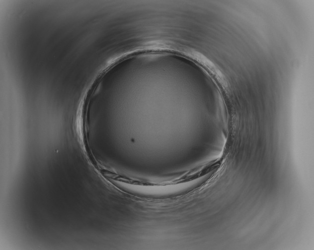 X0000103251334200809111607