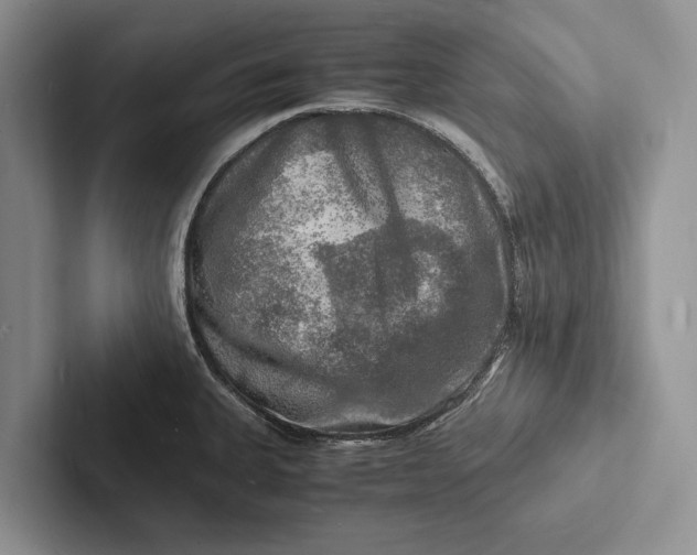 X0000103251335200809111607