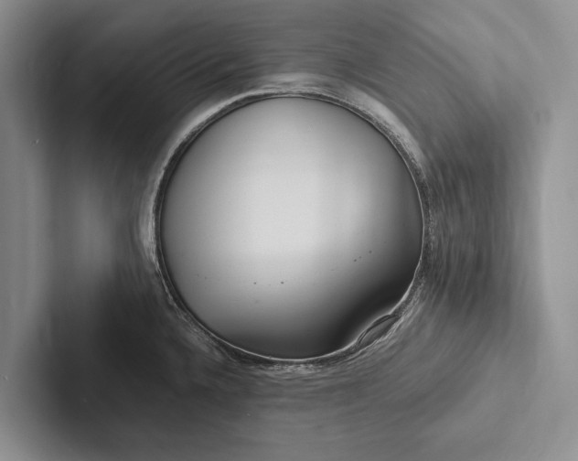 X0000103251336200809111607