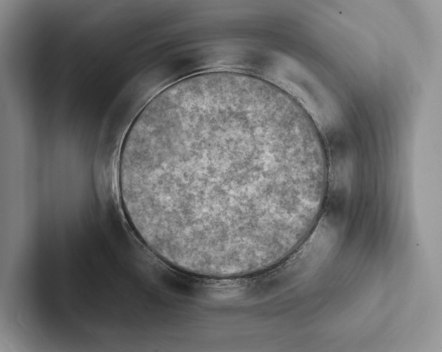 X0000103251338200809111607