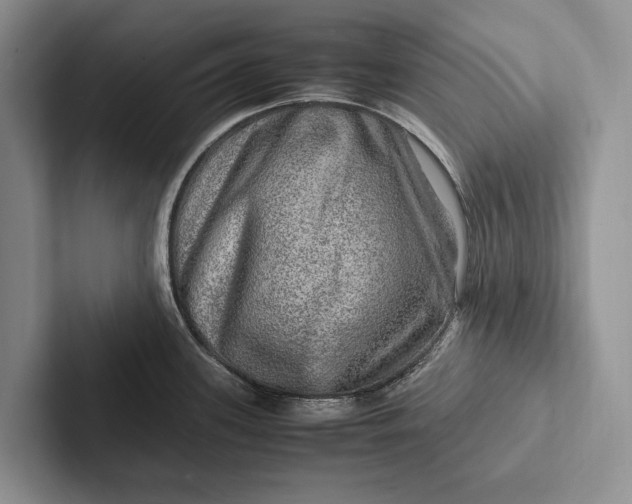 X0000103251339200809111607