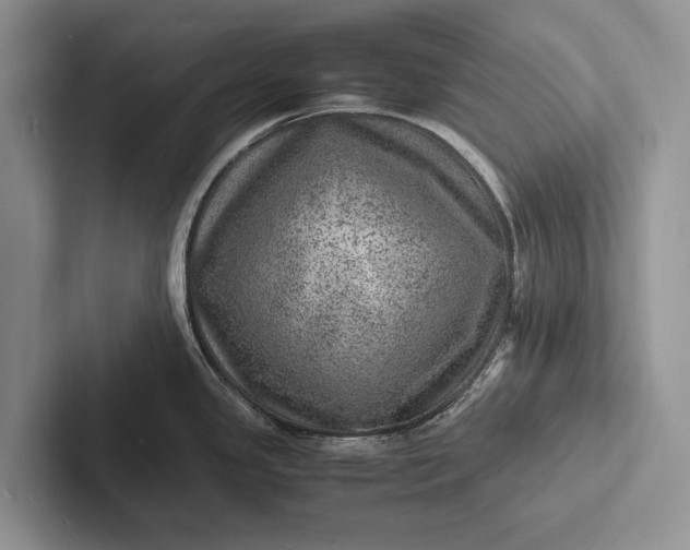 X0000103251341200809111607