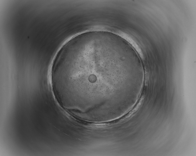 X0000103251342200809111607