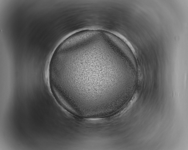 X0000103251343200809111607