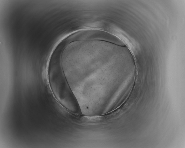 X0000103251344200809111607