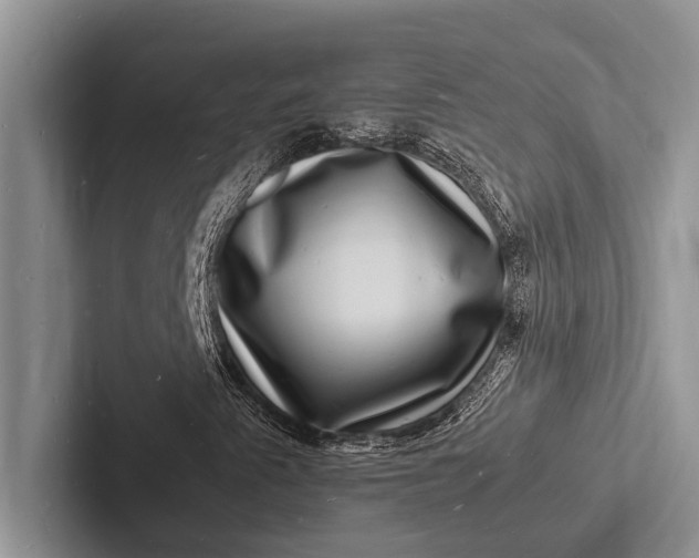 X0000103251345200809111607