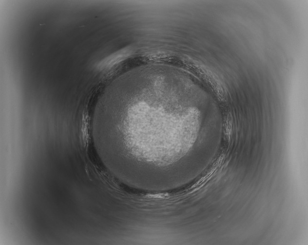 X0000103251346200809111607