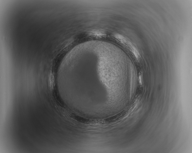 X0000103251347200809111607