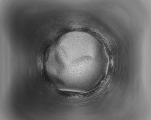 X0000103251348200809111607