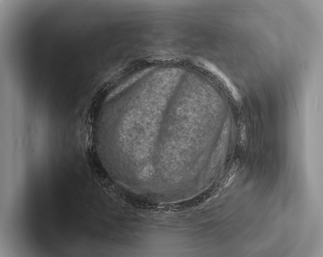 X0000103251350200809111607