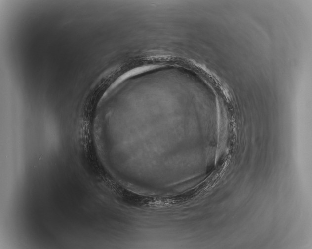 X0000103251351200809111607