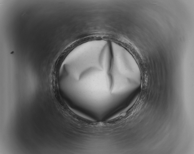 X0000103251352200809111607