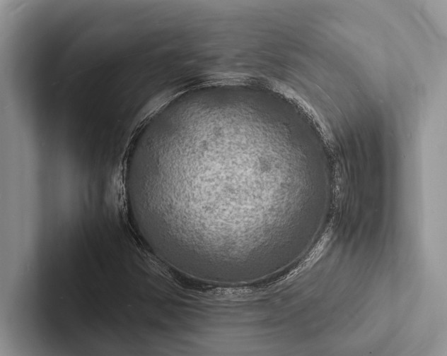 X0000103251354200809111606