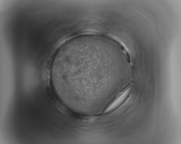 X0000103251355200809111606