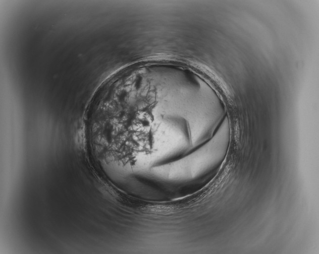 X0000103251356200809111606