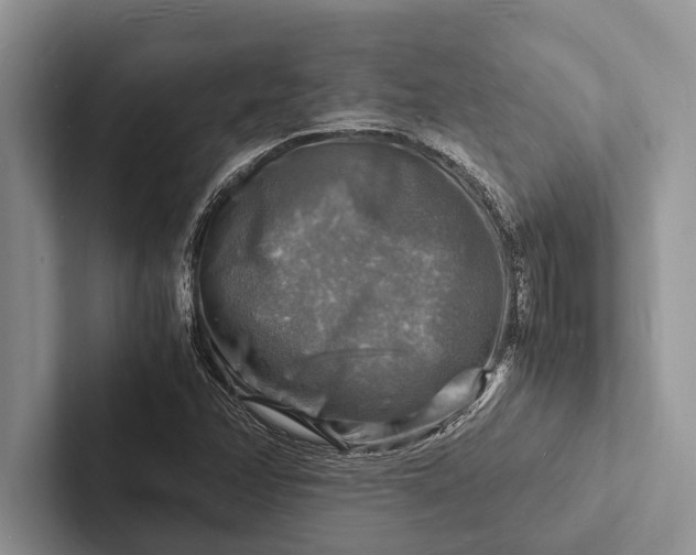 X0000103251358200809111606
