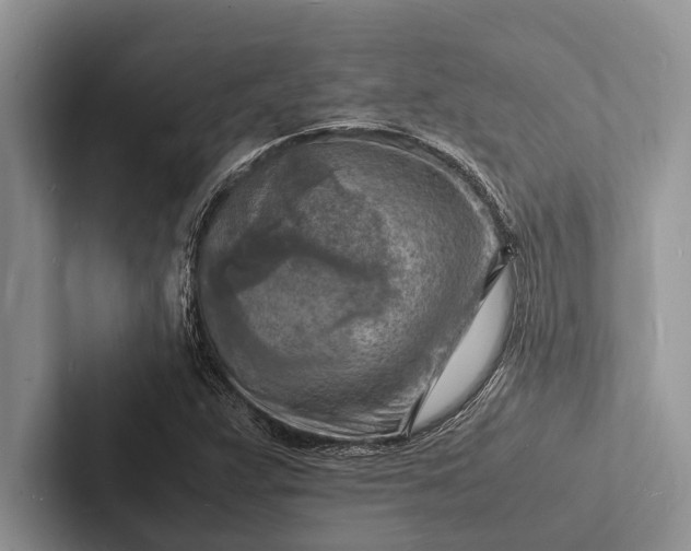 X0000103251359200809111606