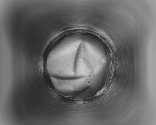 X0000103251360200809111606