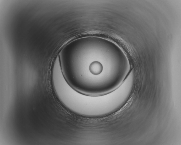 X0000103251361200809111606