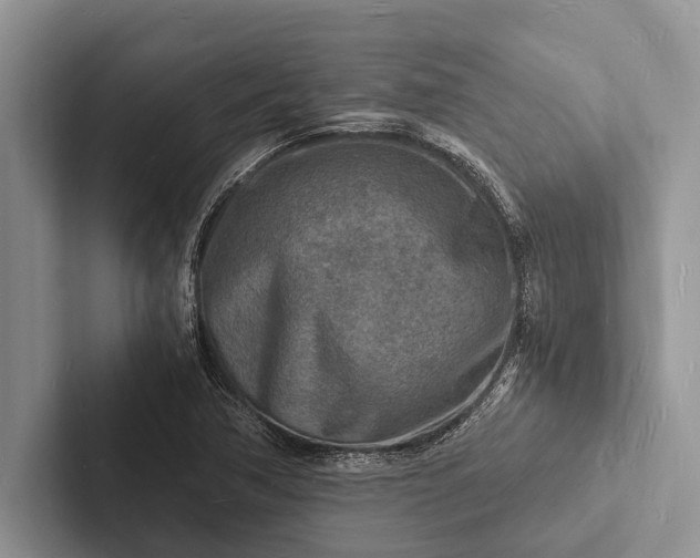 X0000103251362200809111606