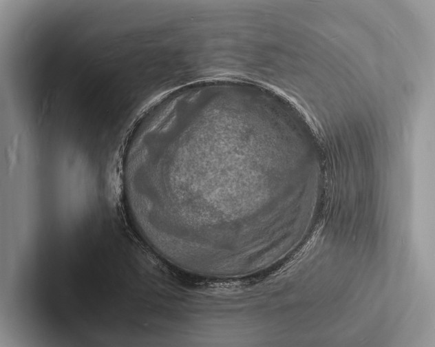 X0000103251363200809111606