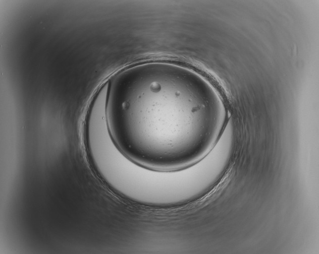 X0000103251365200809111606