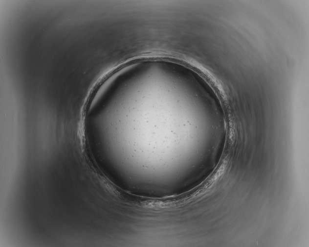 X0000103251366200809111606