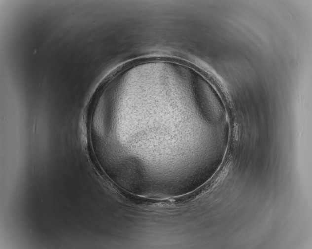 X0000103251368200809111606