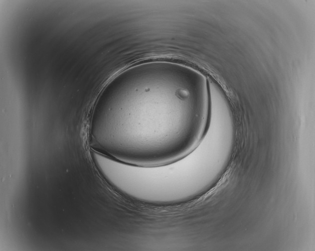 X0000103251369200809111606