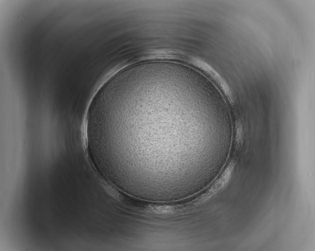 X0000103251370200809111606