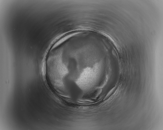X0000103251371200809111606
