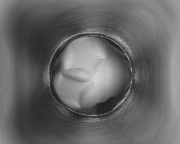 X0000103251372200809111606