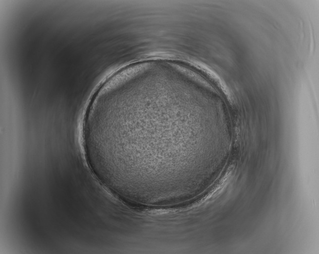 X0000103251373200809111606