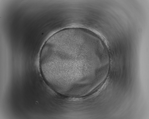 X0000103251374200809111606