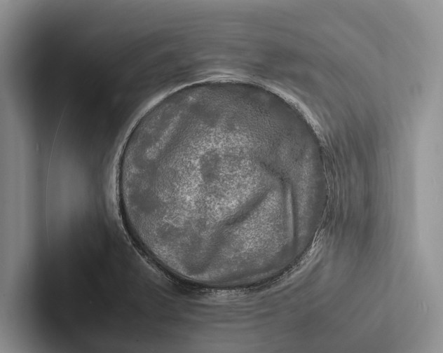 X0000103251375200809111606