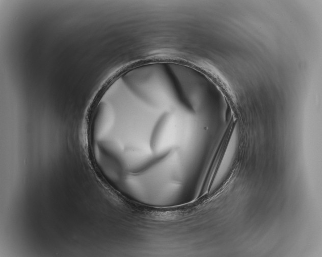 X0000103251376200809111606