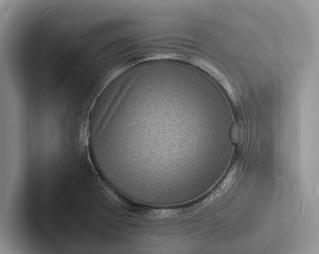 X0000103251377200809111606