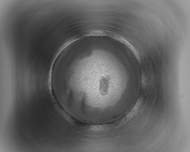 X0000103251378200809111606