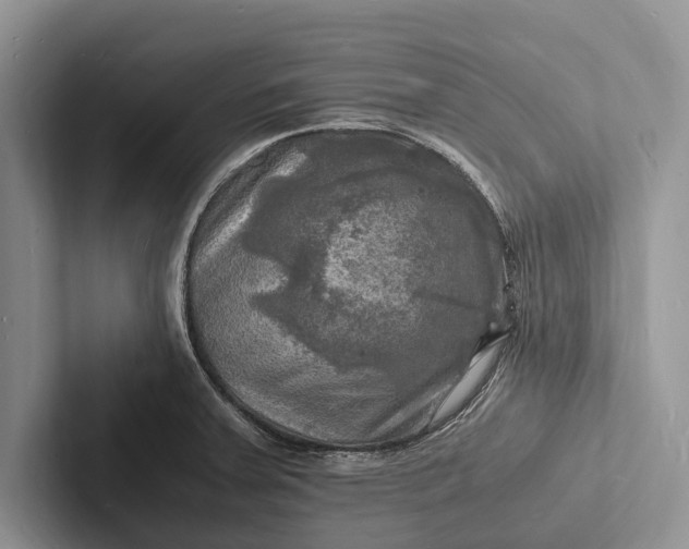 X0000103251379200809111606