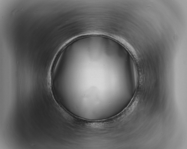 X0000103251380200809111606