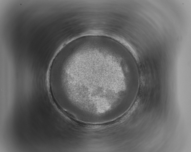 X0000103251382200809111606