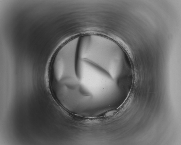 X0000103251384200809111606