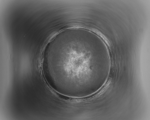 X0000103251385200809111606