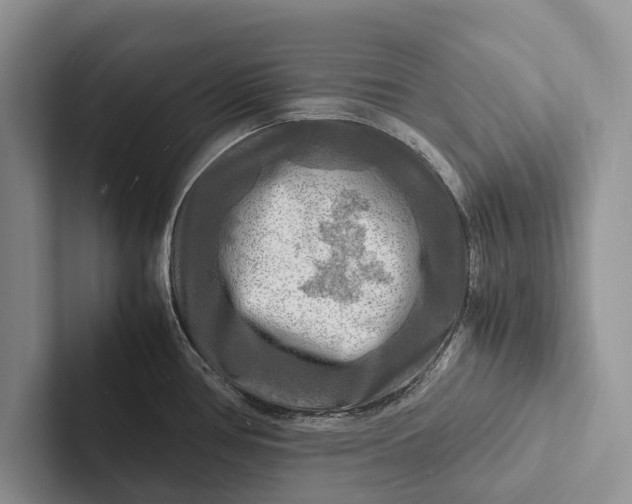 X0000103251386200809111606