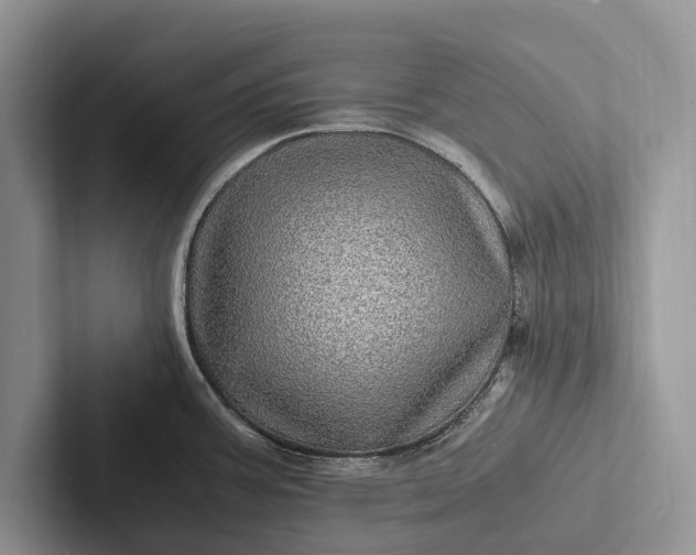 X0000103251387200809111606